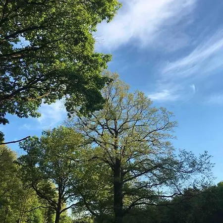 Appartement Malnas Vendeghaz-raspberry