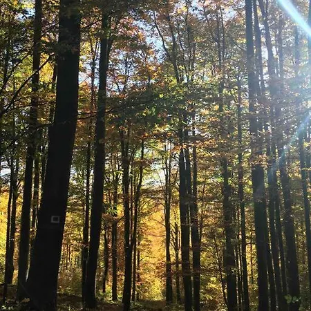 Malnas Vendeghaz-raspberry *