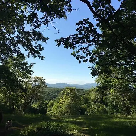 Malnas Vendeghaz-raspberry * Nagymaros