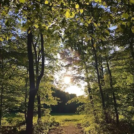 Malnas Vendeghaz-raspberry Apartman *