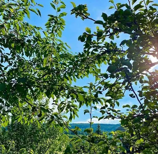 Malnas Vendeghaz-raspberry Apartament Nagymaros